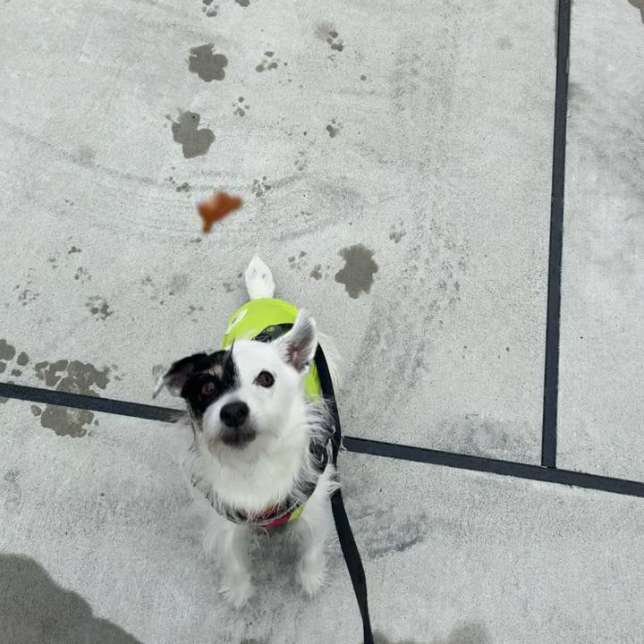 9291af85 5555 451b 913f 19ad9bac3352 1761262711836