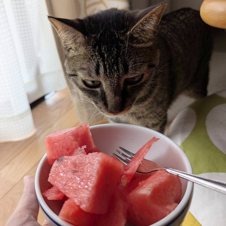 9291c41a fbda 48b4 9c2f 34d0e34b8d12 1750488396486