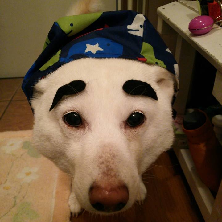 92923ea1 5e3d 47eb be7c 134288f64bdb 1549876788884