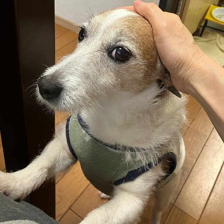 92926368 fa6c 42e7 82ab 15911699b149 1747092514769