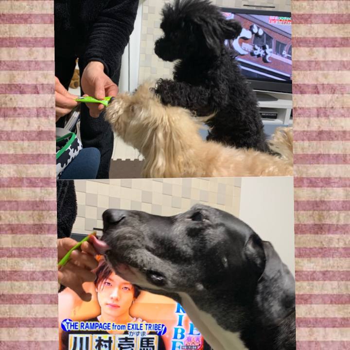 92927f7c 634a 4ea3 87b4 b44f6ad03ec5 1553511084113