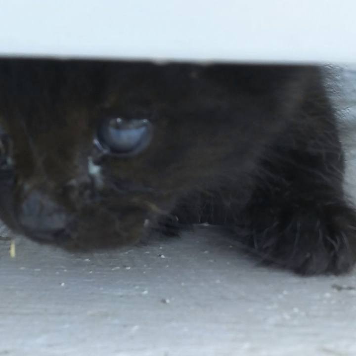 9292890a eb66 4ea5 bf16 6607f8f52f46 1557730952559