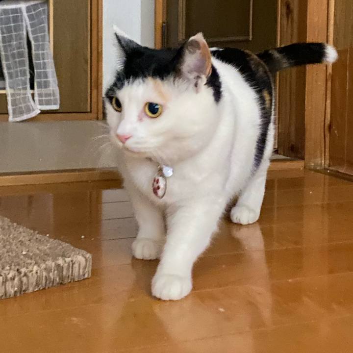 9292afdd 5d28 4f5f 831c 0e4ab496dd3c 1645617567166