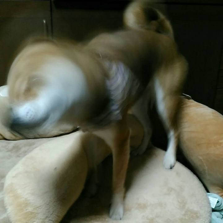 9292d0de 4260 41bc a5f7 5ae8d2a74842 1536495165963