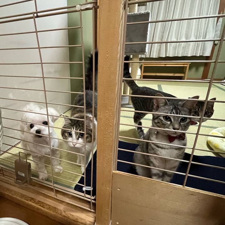 9292d7fb f907 44d0 bcef d051559c6a15 1719874884255