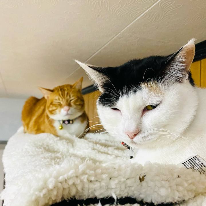 9292db73 7862 4abe abe1 bb3660b85628 1670714993067