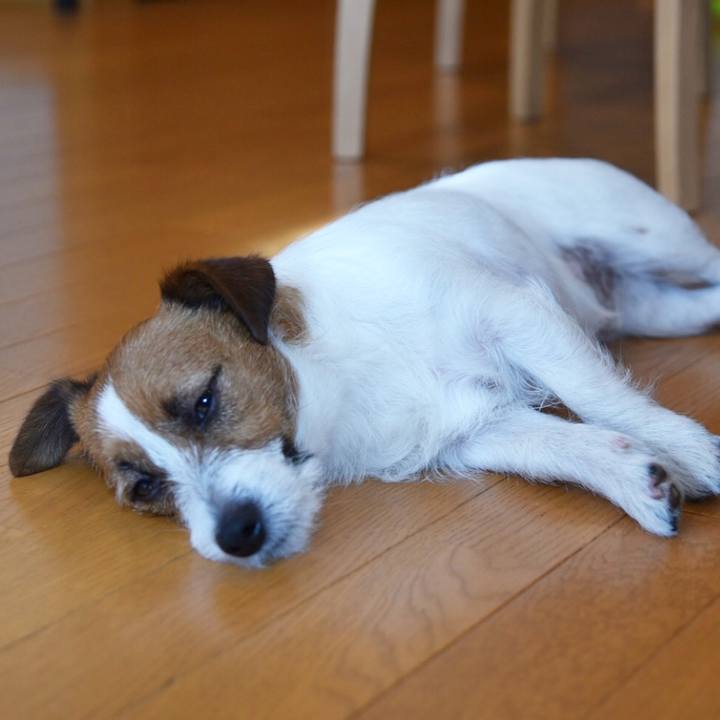 92932668 c99c 43da 8d4b 5d6ff5ebf68f 1514550125650