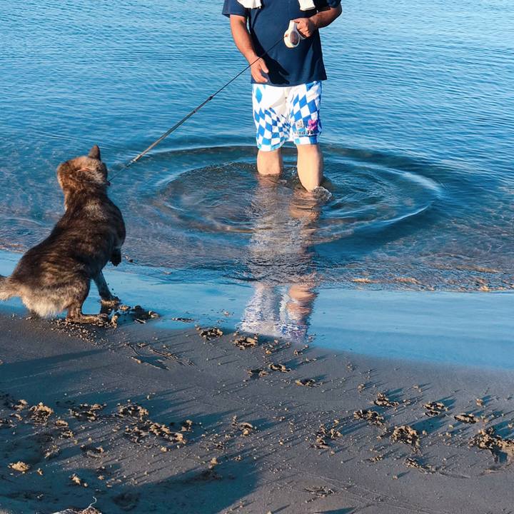 92936819 6481 4f88 9205 13701f3ab206 1565734336847