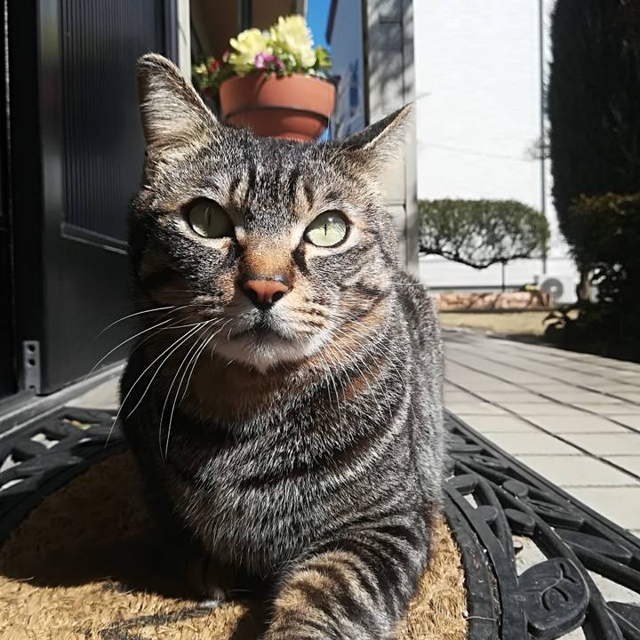 92936ffd 8461 4c97 aaa2 6624b1df2845 1520660078929