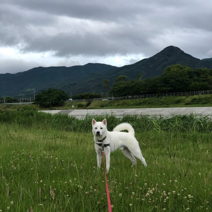 92939157 fa81 4c84 975e 85f610a8b1dd 1561671299556