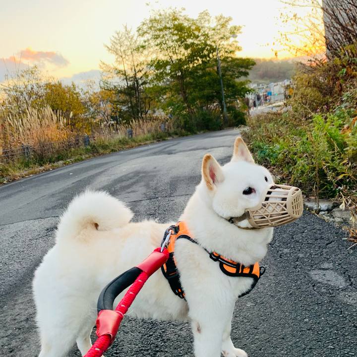 92939766 3476 4baf bef5 b99481f49345 1667338676597