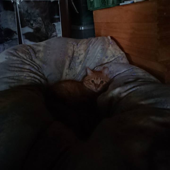 9293e3bd c4aa 4543 b5f4 1e8c0e5f9be7 1658955819633