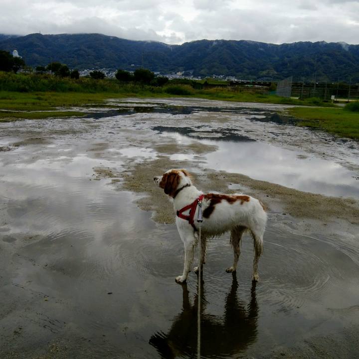 9293ed6c 398e 4582 8a1c 513a3f2f9240 1538206282067