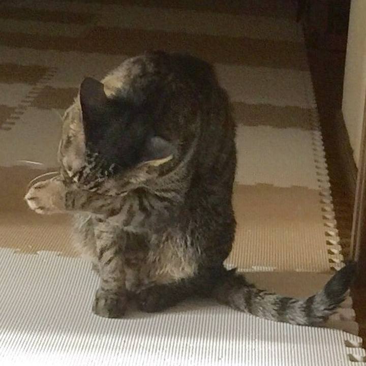 92940193 cd8a 42ef 9c82 0c2be543b961 1555811133994