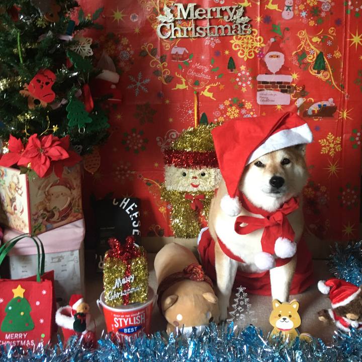 9294066e d1a0 497e be69 54713d31e383 1606904152853