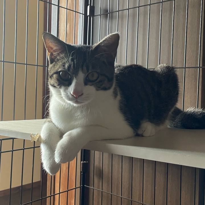 92942384 8e14 427d 94d1 185e380e5bf3 1729424737016