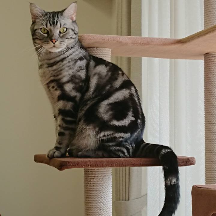 929425b4 d855 4beb 8bd3 ce3b456bed37 1541016105799