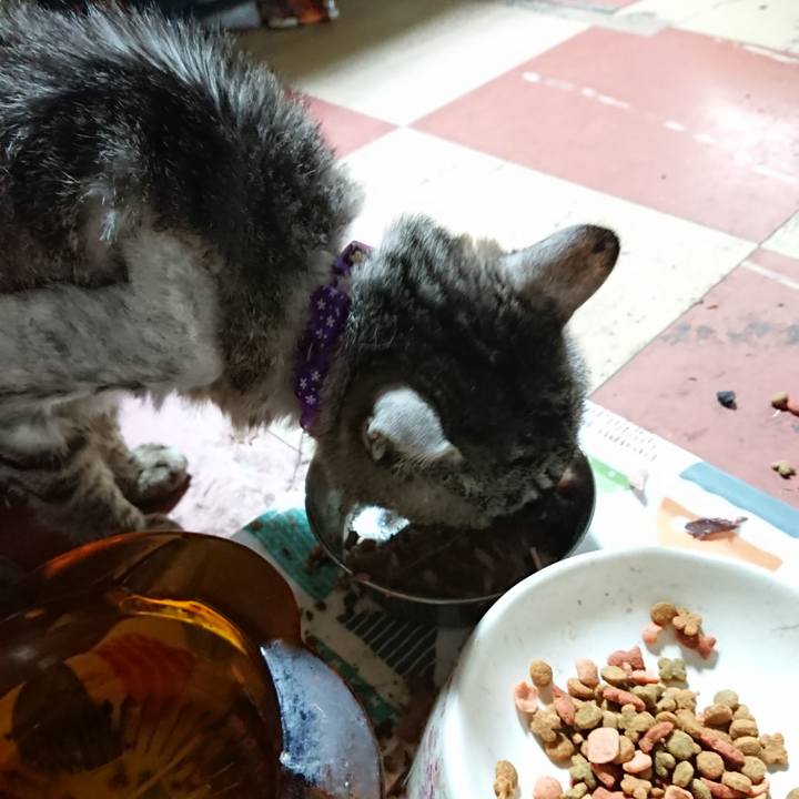 929474b0 9975 499e 9f58 9e9b8f03171d 1591002328066