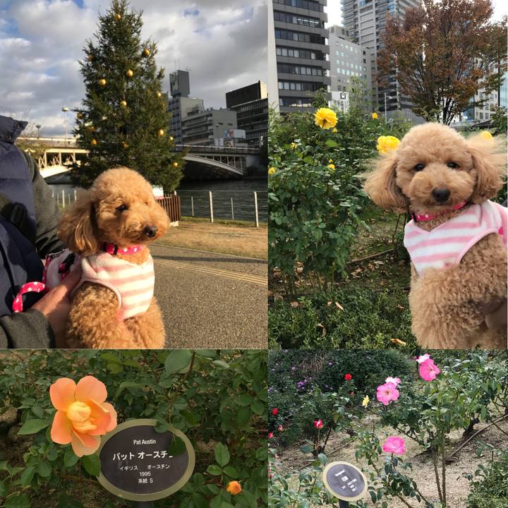 929497fe ef0f 4570 beba e9e728293199 1511076881195