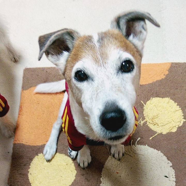 9294af44 1189 4f77 ac0d 01aff6939a78 1580250775933