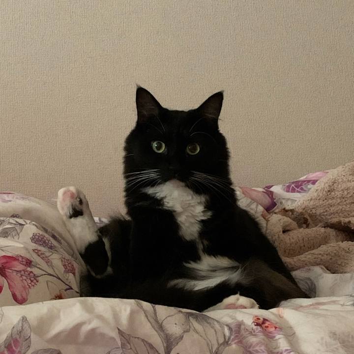 9294b135 a4bc 4746 b4b5 ba5382438214 1570368630275