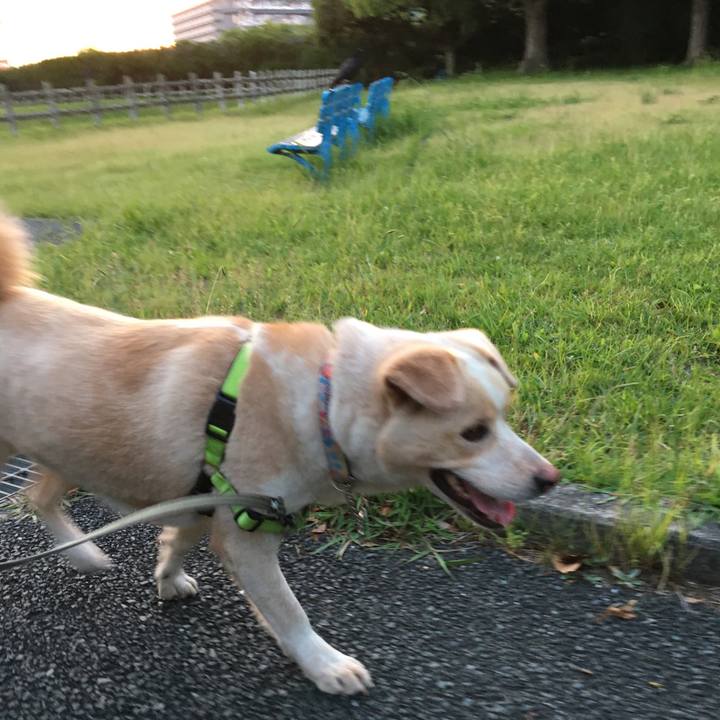 9294d750 838e 48eb b529 3f8f39b7242e 1527935425726