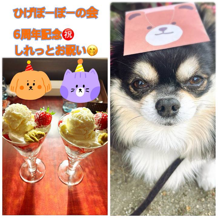 9294e7bd 7831 4edd b2b5 15a9b9fd712f 1769585357608