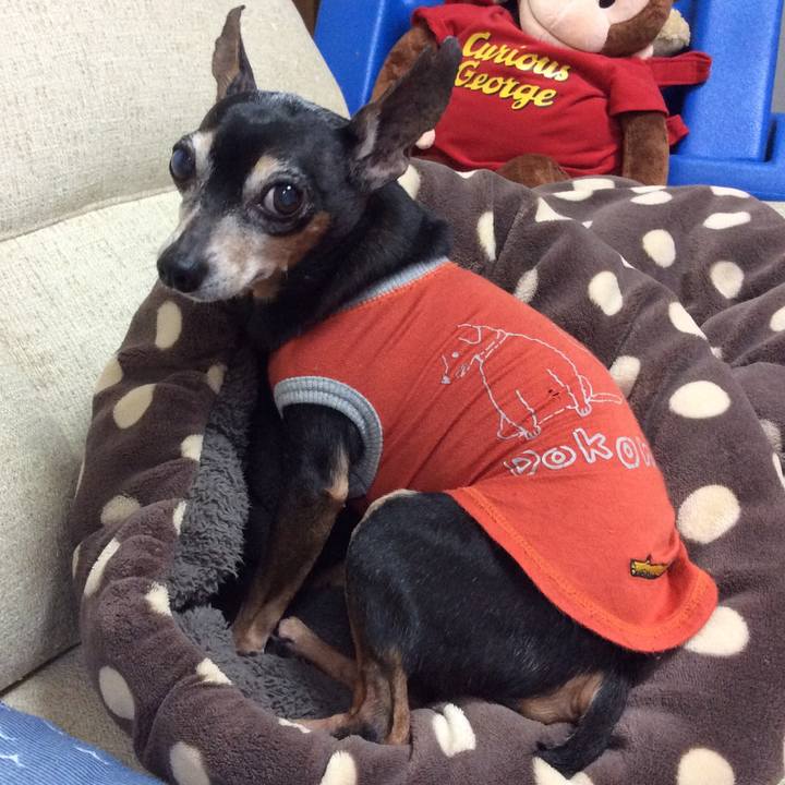 92952af2 5c60 4bb5 b0c6 9a633738bff5 1522587921000