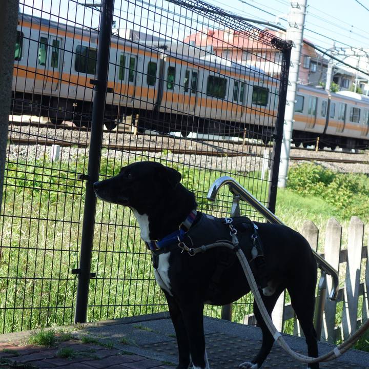 929558e8 286f 479c b8d9 2b5925e81f8d 1651541771023