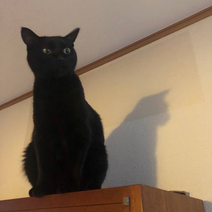 92956952 a49b 409b 95f3 b820cbb7cd8a 1552946985481