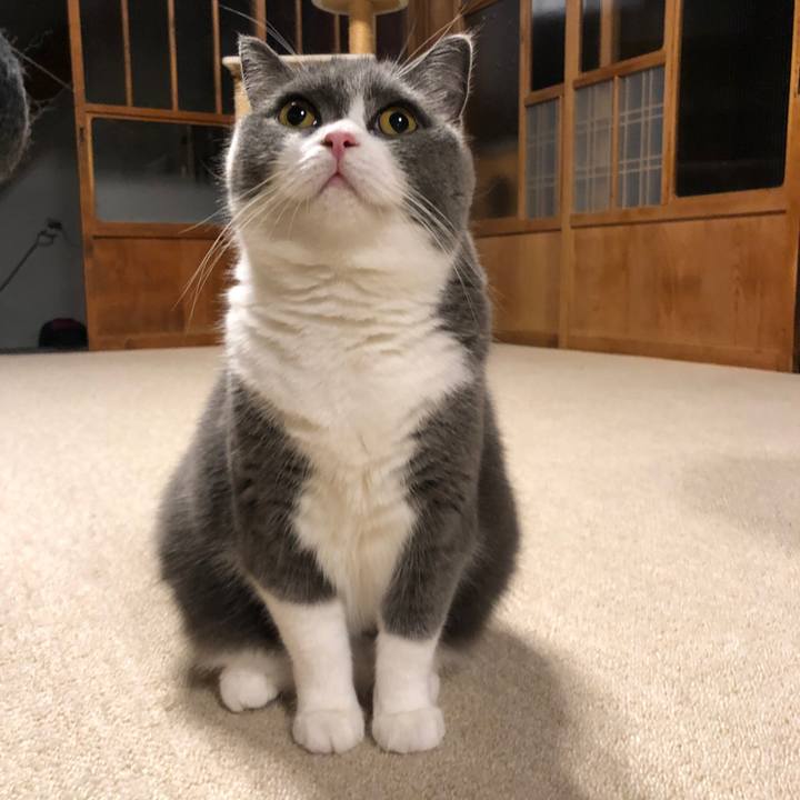 92957651 609a 4551 b43e bfc54d83fff3 1568766392307