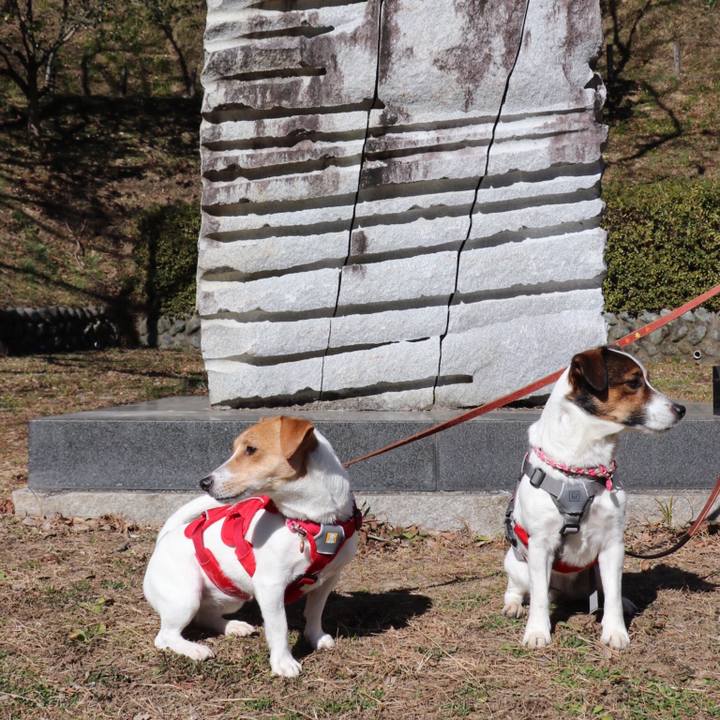 92957cdf 90ee 4c92 891b 3222bef5b14b 1517045200227