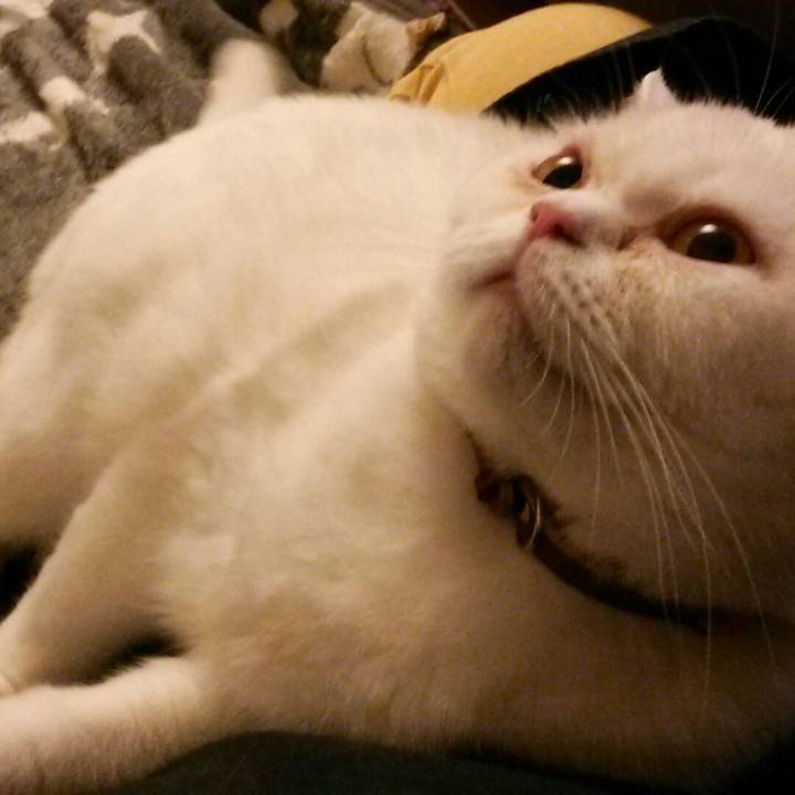 9295fef2 7739 4902 a42c 06430cea0cb3 1525778323519