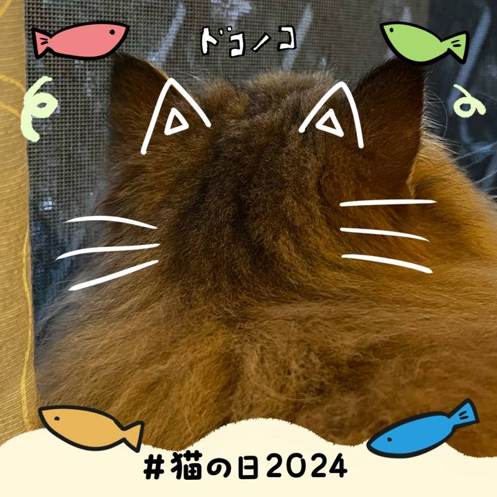 929678fb b050 470b a6a7 66569859b4da 1708600691193