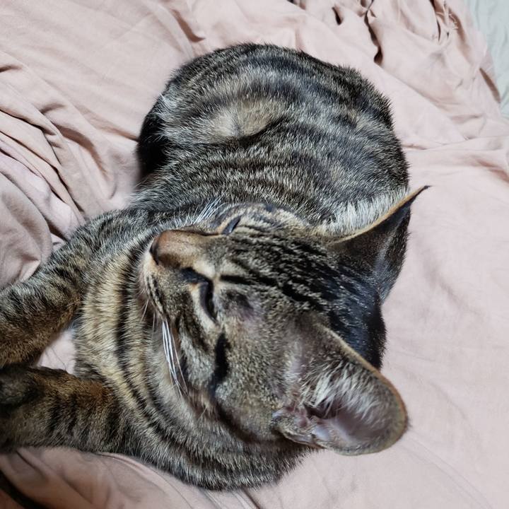 9296abad af5c 4646 bb24 2624dabd70f4 1545884980472