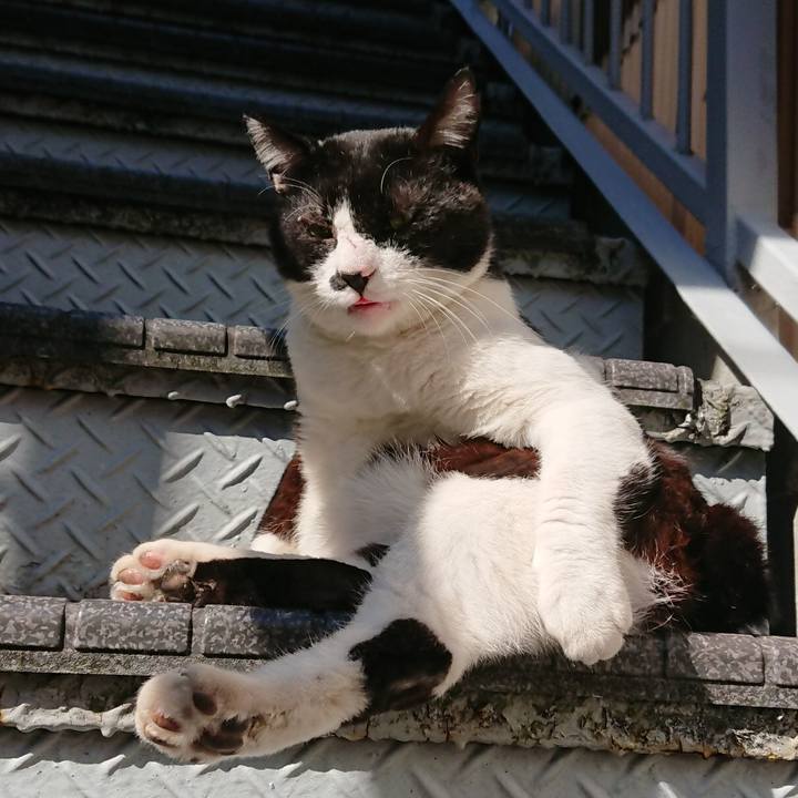 92972ab2 e40c 4087 80d4 b35bda1c6a15 1541210335163