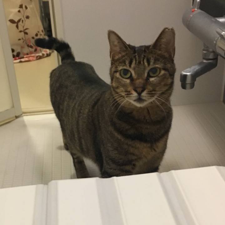 92973af4 38ef 4aed 88f9 faff4ae49214 1519395959827