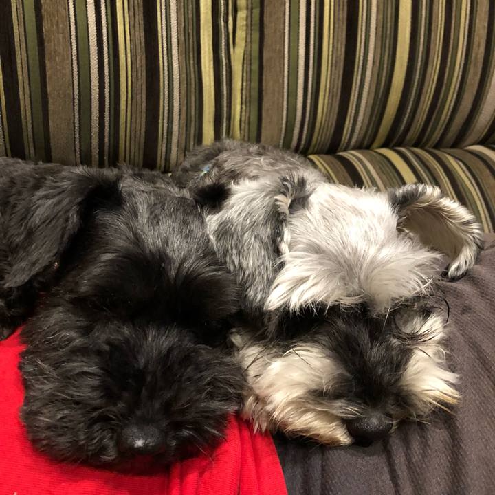 929776f3 65ce 447a bd4e a7549a1c763e 1528581426071