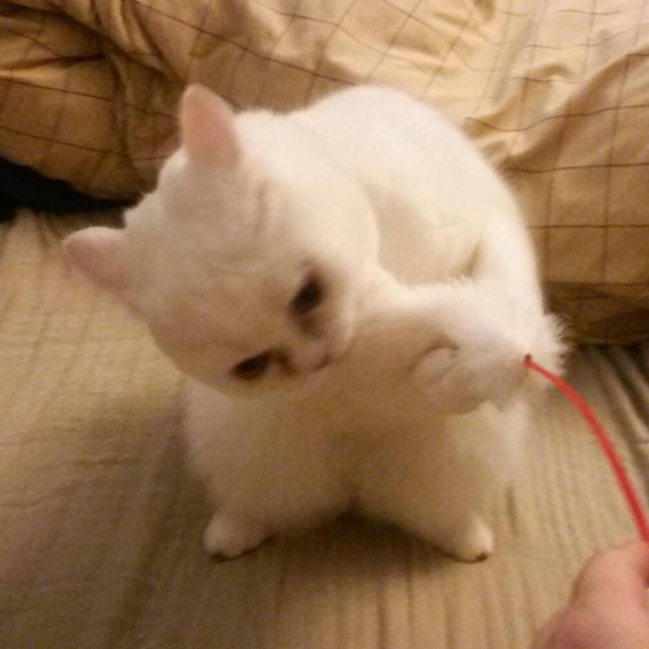 92979bb8 9547 4b40 a246 34116be01960 1509148130471