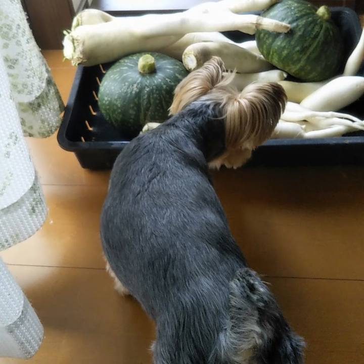 9297c983 0990 4e57 805b 6cac9e41a91f 1656758703471