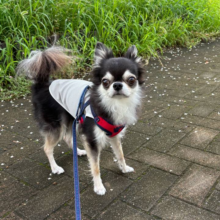 9297d4f6 34c3 47b8 b14d d3b86d02e23b 1720367179985