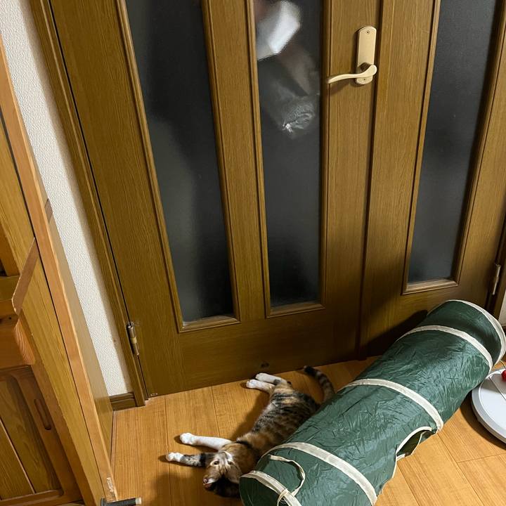 9297efc1 4135 4900 b08b d9d3d8c625b9 1663361425342