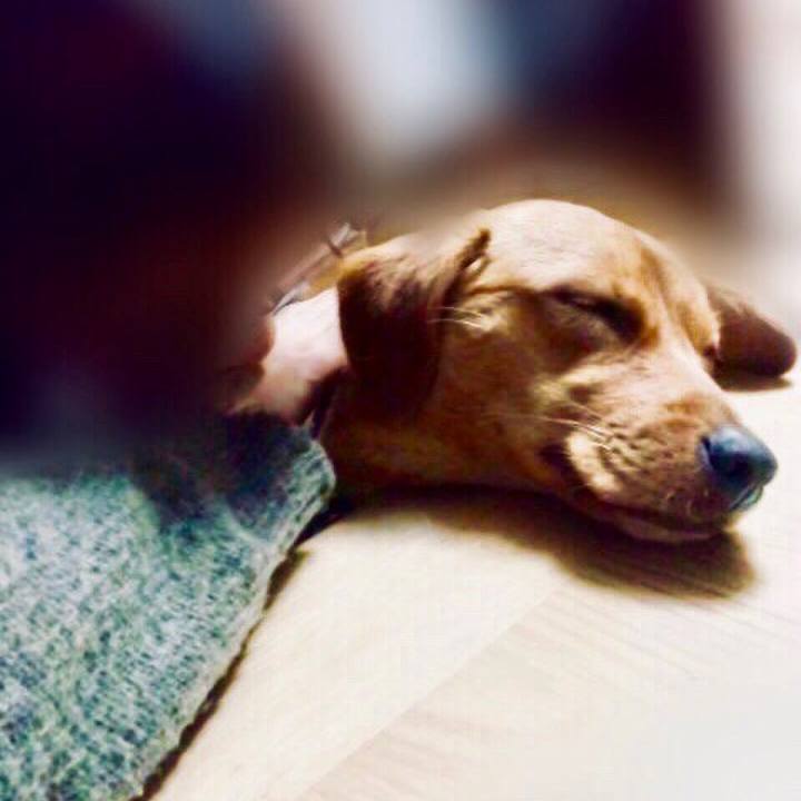 92980344 7553 43c0 99ab 1feb2faea02d 1517181386909