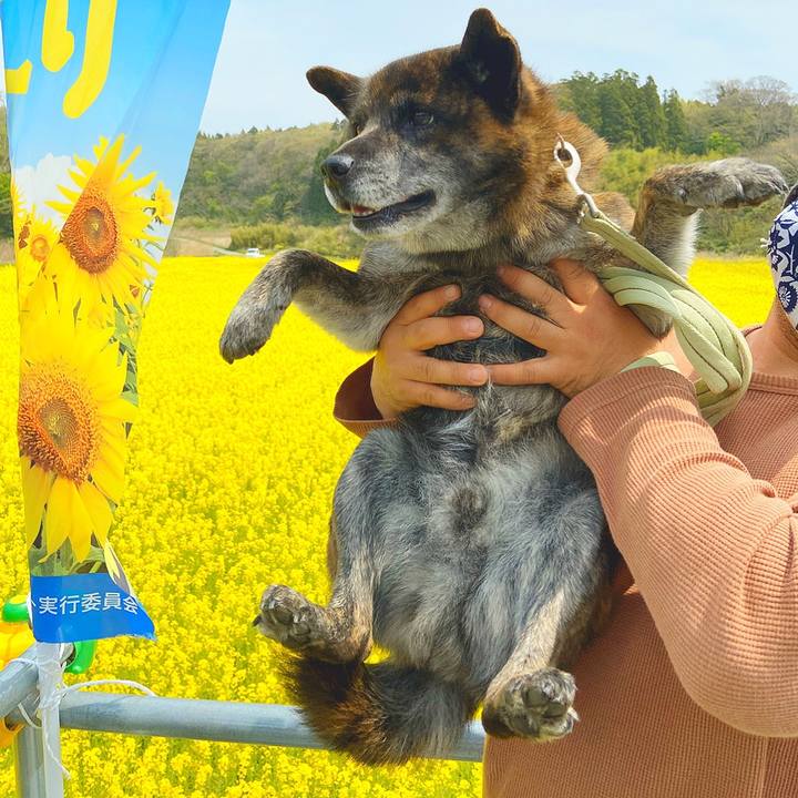 929839d7 a4b0 4d3c 9b91 01e87d2d44b5 1588480276820