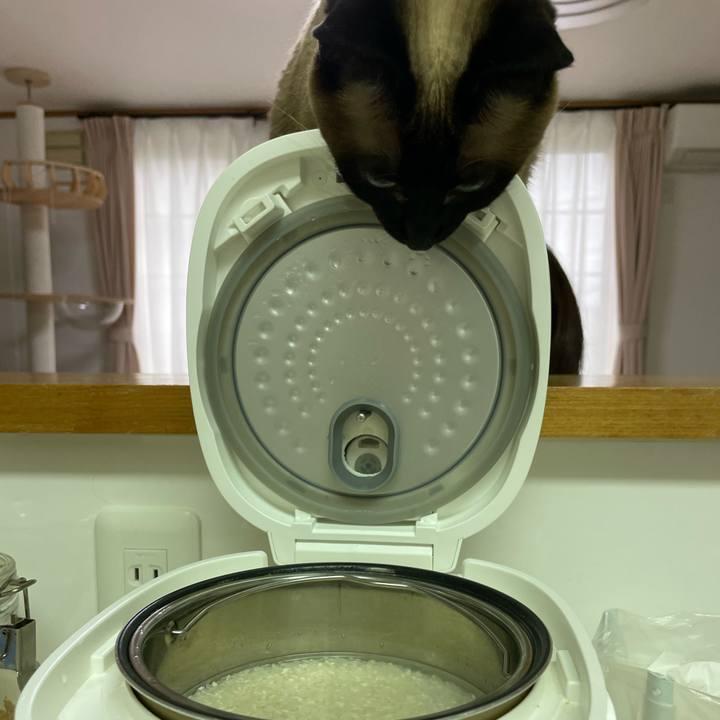 92985a5b eb89 4c5f a6b1 b788d63ac57f 1744576351505