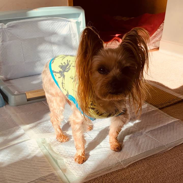 9298978f e10e 4410 a130 e1c472309778 1547345387774