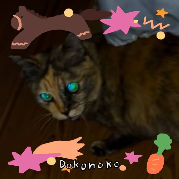 9298def1 66c4 43a9 b09f 2a7656f37553 1771843580413