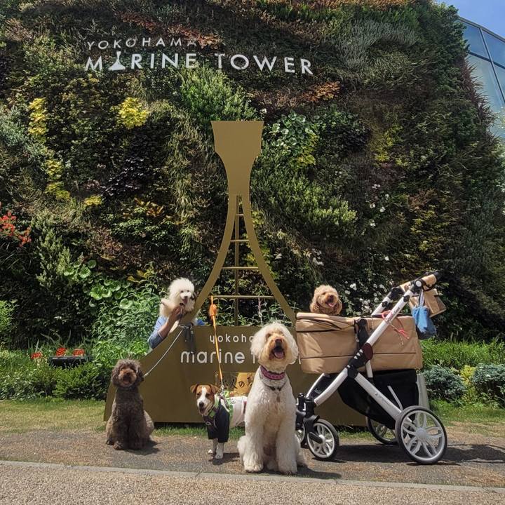 9299130e 7b35 480b b6d6 36ac09578e0a 1683950031762