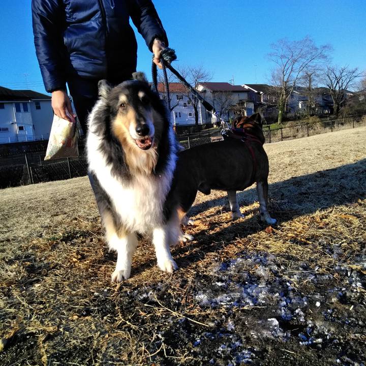 92993417 69ed 492a 88c0 6eb343cb6235 1552571848475