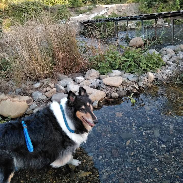 92993748 650f 407f 9bd9 969863946f56 1530623499271